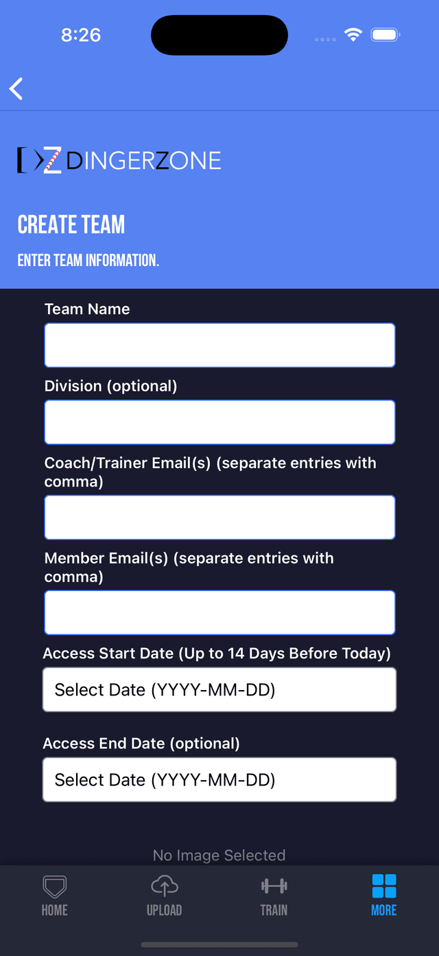 Team dashboard in DingerZone