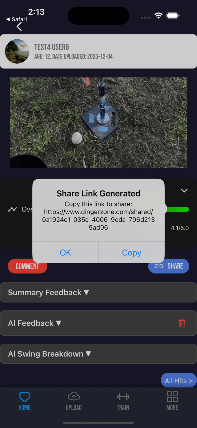 Share clip options