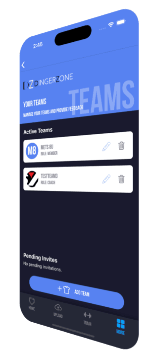 Team Summary Screenshot